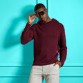 WAFFLE STITCH MERINO WOOL HOODED SWEATER image number 2