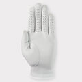 MEN'S PLUS GOLF GLOVE image number 2